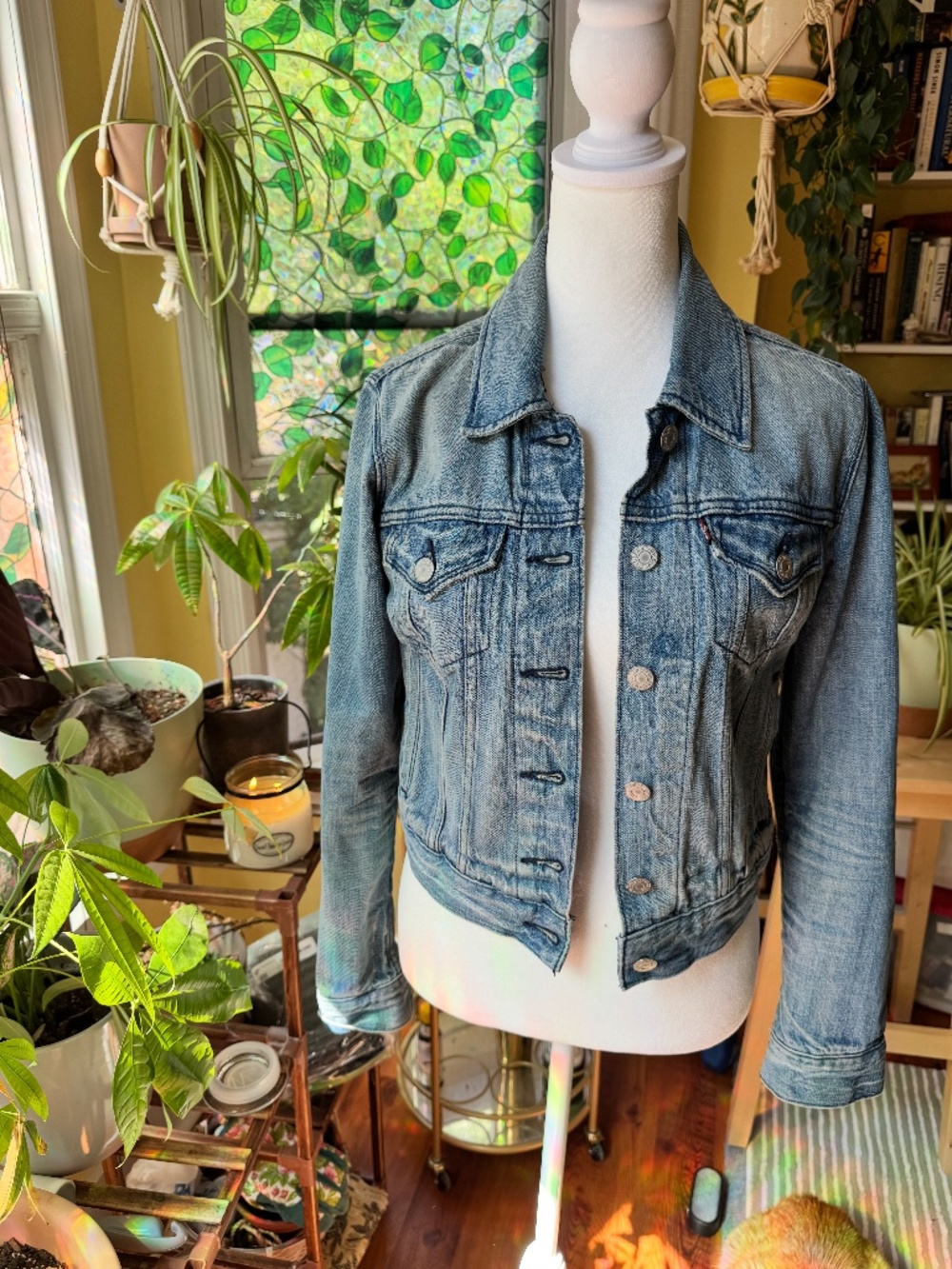Levi's Fitted Medium Wash Denim Jacket Women's XS